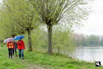 Canisvlietse Kreek