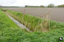 Karnemelkpolder