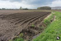Polder Denderdreve