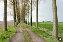 Polder Denderdreve