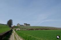 Apostelhoeve