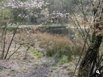 Trage Tocht Vierhouten