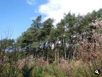 Trage Tocht Vierhouten