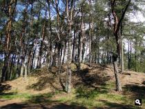 Trage Tocht Vierhouten