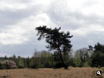 Trage Tocht Vierhouten