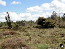 Trage Tocht Vierhouten