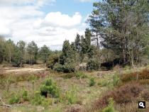 Trage Tocht Vierhouten