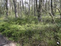 Trage Tocht Vierhouten