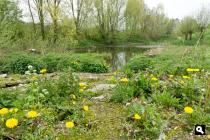 Eyserbeek, restant
