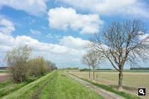 Willem-Leopoldpolder