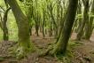 Groene Wissel Garderen