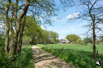 Landweg bij Uddel