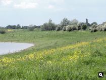 Zicht op IJzendoorn
