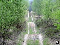 Trage Tocht Wiesel