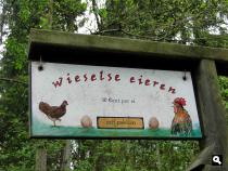 Trage Tocht Wiesel