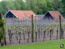 Trage Tocht Winterswijk Emmaschool