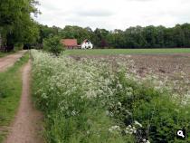 Trage Tocht Winterswijk Emmaschool