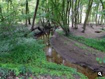 Trage Tocht Winterswijk Emmaschool