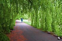 Haren, begraafplaats