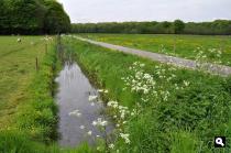 Landgoed Polder Lappenvoort