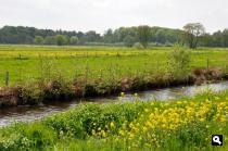 Oude Aa