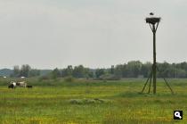 Pieterpad, ooievaarsnest