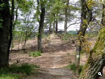 Trage Tocht Otterlo
