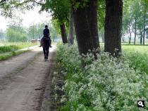 Trage Tocht Otterlo