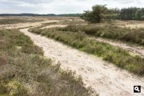 Eslpeetse Heide