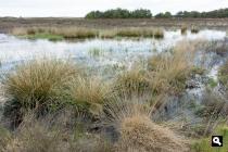 Eslpeetse Heide, ven