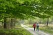 Groene Wissel Hoog Soeren