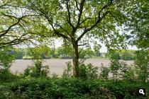 Hoog Soeren, akkerland