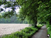Trage Tocht Winterswijk Oeding