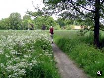 Trage Tocht Winterswijk Oeding