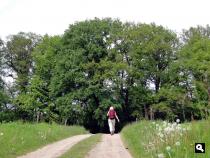 Trage Tocht Winterswijk Oeding
