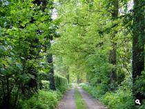Trage Tocht Winterswijk Oeding