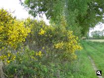 Trage Tocht Winterswijk Oeding