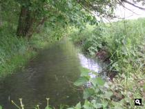 grensrivier