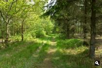 Hemrikkerscharren