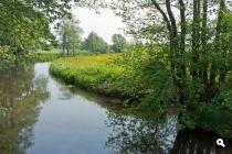 Koningsdiep
