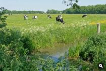 Olterterp, boerderij