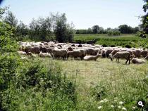 Trage Tocht Winterswijk Hilgelo