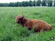 Trage Tocht Winterswijk Corle