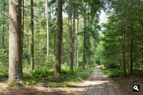 Landgoed Flip-Hul