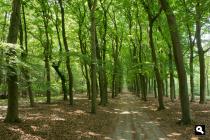 Landgoed Flip-Hul