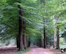 Trage Tocht Hollandsche Rading