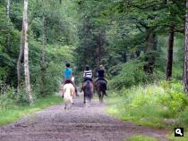 Trage Tocht Hollandsche Rading