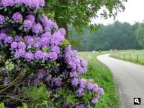 Trage Tocht Hollandsche Rading