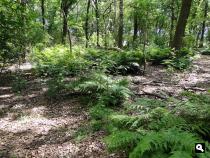 Trage Tocht Driedorp