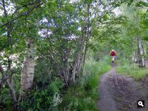 Trage Tocht Driedorp